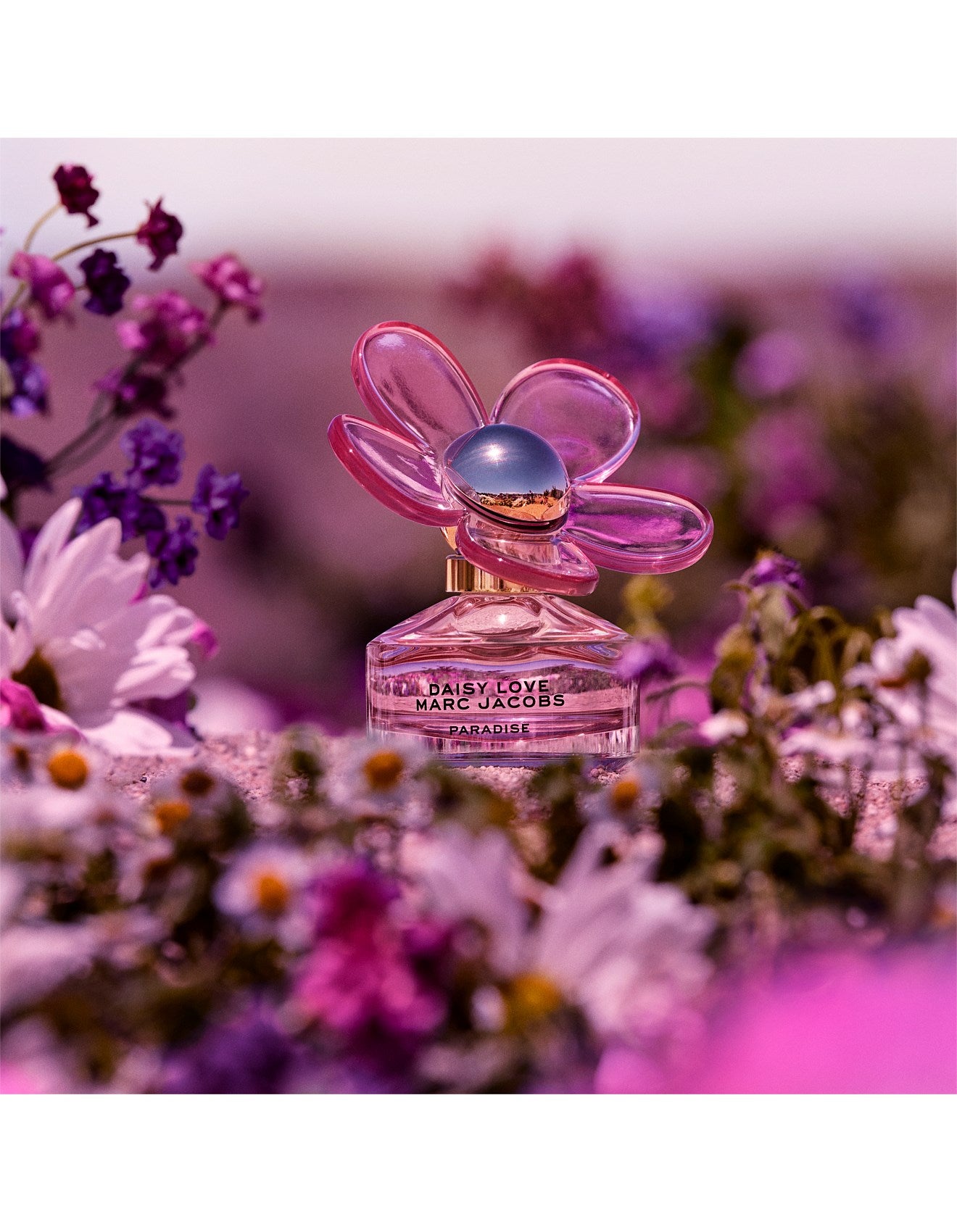 Marc Jacobs Daisy Paradise Collection Painting in Purple and Pink